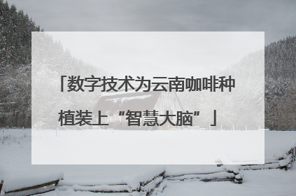 数字技术为云南咖啡种植装上“智慧大脑”