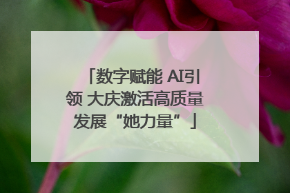 数字赋能 AI引领 大庆激活高质量发展“她力量”