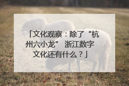 文化观察：除了“杭州六小龙” 浙江数字文化还有什么？