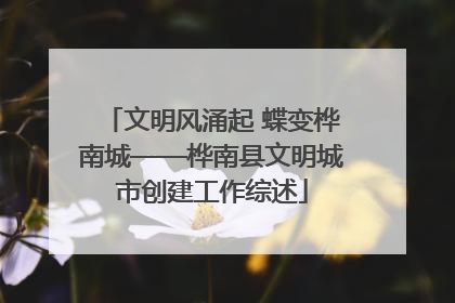 文明风涌起 蝶变桦南城——桦南县文明城市创建工作综述