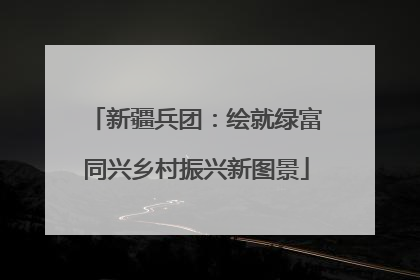 新疆兵团：绘就绿富同兴乡村振兴新图景