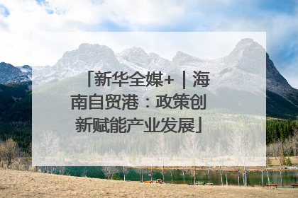 新华全媒+｜海南自贸港：政策创新赋能产业发展