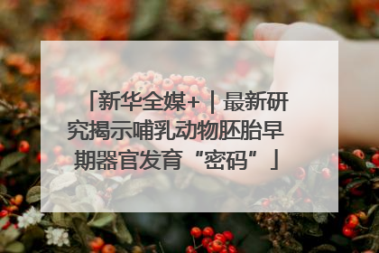 新华全媒+｜最新研究揭示哺乳动物胚胎早期器官发育“密码”