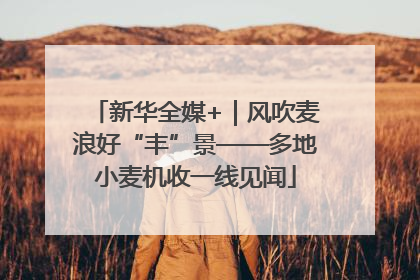新华全媒+｜风吹麦浪好“丰”景——多地小麦机收一线见闻