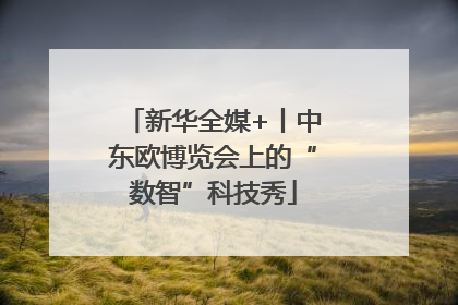 新华全媒+丨中东欧博览会上的“数智”科技秀