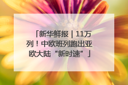 新华鲜报｜11万列！中欧班列跑出亚欧大陆“新时速”