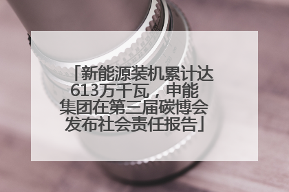 新能源装机累计达613万千瓦，申能集团在第三届碳博会发布社会责任报告