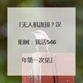 无人机浇顶？汉阳树：我活546年第一次见