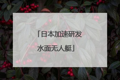 日本加速研发水面无人艇