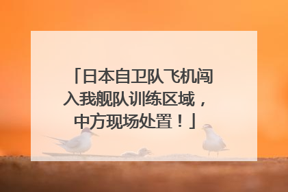 日本自卫队飞机闯入我舰队训练区域，中方现场处置！