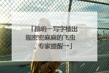 昆明一写字楼出现密密麻麻的飞虫，专家提醒→