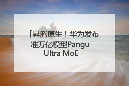 昇腾原生！华为发布准万亿模型Pangu Ultra MoE模型架构和训练细节