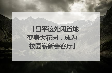昌平这处闲置地变身大花园，成为校园崭新会客厅