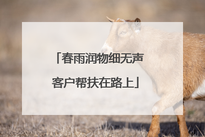 春雨润物细无声 客户帮扶在路上