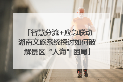 智慧分流+应急联动 湖南文旅系统探讨如何破解景区“人海”困局