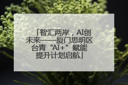 智汇两岸，AI创未来——厦门思明区台青“AI+”赋能提升计划启航