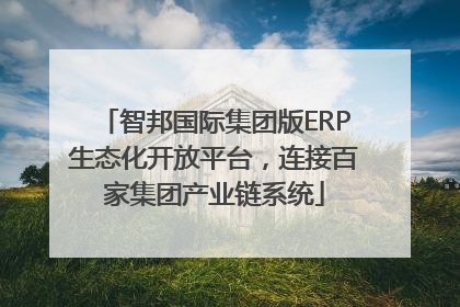 智邦国际集团版ERP生态化开放平台，连接百家集团产业链系统