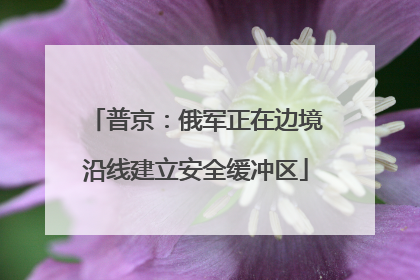 普京：俄军正在边境沿线建立安全缓冲区
