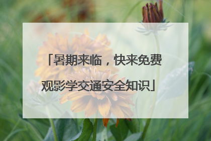 暑期来临，快来免费观影学交通安全知识