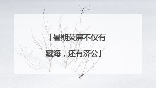 暑期荧屏不仅有藏海，还有济公