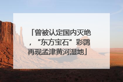 曾被认定国内灭绝，“东方宝石”彩鹮再现孟津黄河湿地