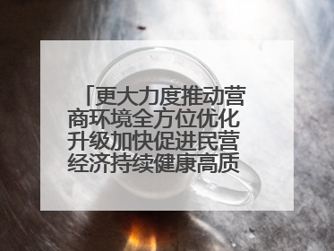 更大力度推动营商环境全方位优化升级加快促进民营经济持续健康高质量发展