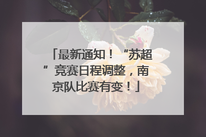 最新通知！“苏超”竞赛日程调整，南京队比赛有变！