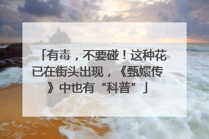 有毒，不要碰！这种花已在街头出现，《甄嬛传》中也有“科普”