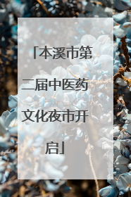 本溪市第二届中医药文化夜市开启