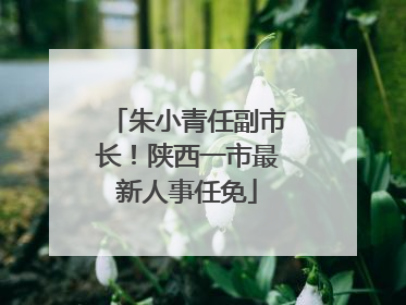 朱小青任副市长！陕西一市最新人事任免