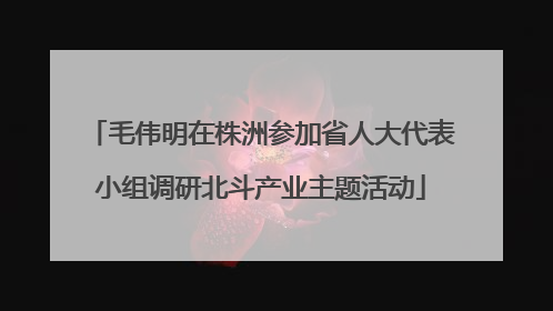 毛伟明在株洲参加省人大代表小组调研北斗产业主题活动
