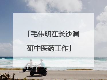 毛伟明在长沙调研中医药工作