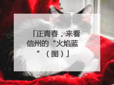 正青春，来看信州的“火焰蓝”（图）