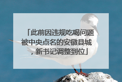 此前因违规吃喝问题被中央点名的安徽县城，新书记调整到位