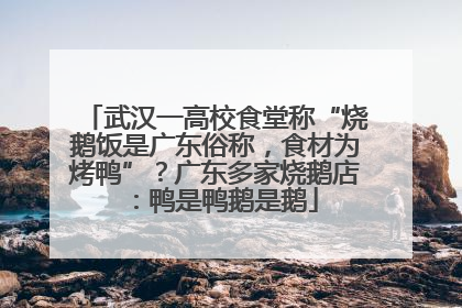 武汉一高校食堂称“烧鹅饭是广东俗称，食材为烤鸭”？广东多家烧鹅店：鸭是鸭鹅是鹅