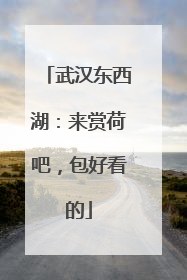 武汉东西湖：来赏荷吧，包好看的