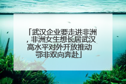 武汉企业要走进非洲，非洲女生想长居武汉 高水平对外开放推动鄂非双向奔赴