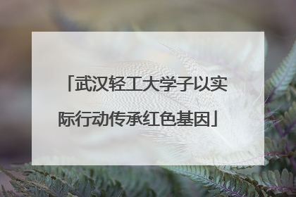 武汉轻工大学子以实际行动传承红色基因