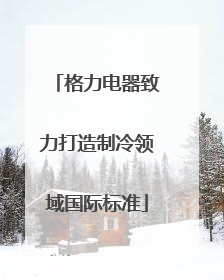 格力电器致力打造制冷领域国际标准
