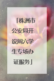 株洲市公安局开设周六学生专场办证服务