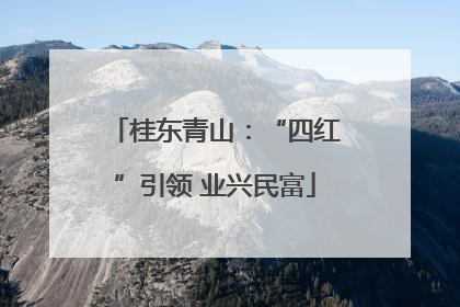 桂东青山：“四红”引领 业兴民富