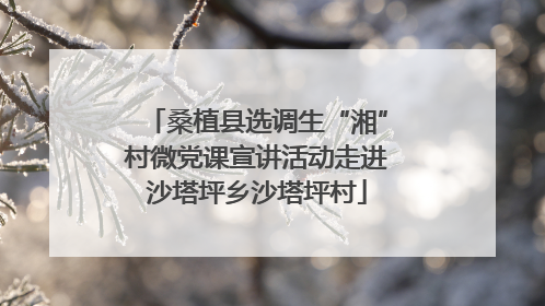 桑植县选调生“湘”村微党课宣讲活动走进沙塔坪乡沙塔坪村