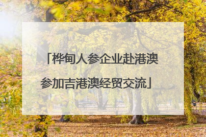 桦甸人参企业赴港澳参加吉港澳经贸交流
