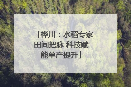 桦川：水稻专家田间把脉 科技赋能单产提升