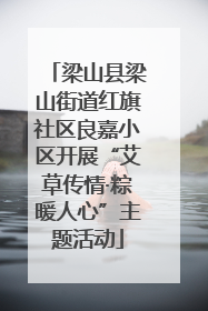 梁山县梁山街道红旗社区良嘉小区开展“艾草传情·粽暖人心”主题活动