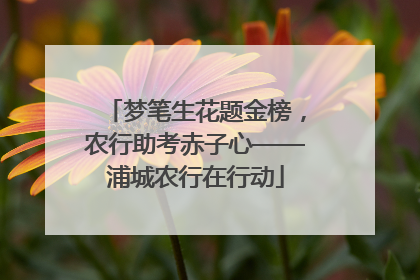 梦笔生花题金榜，农行助考赤子心——浦城农行在行动
