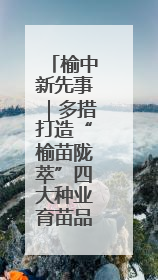 榆中新先事｜多措打造“榆苗陇萃”四大种业育苗品牌