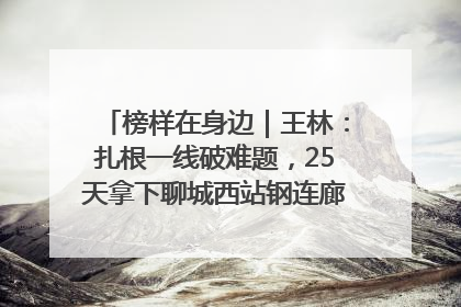 榜样在身边｜王林：扎根一线破难题，25天拿下聊城西站钢连廊“硬核”工程