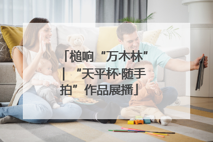 槌响“万木林”｜“天平杯·随手拍”作品展播