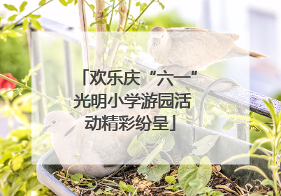 欢乐庆“六一” 光明小学游园活动精彩纷呈